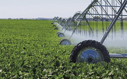 Imagen campo agricultura