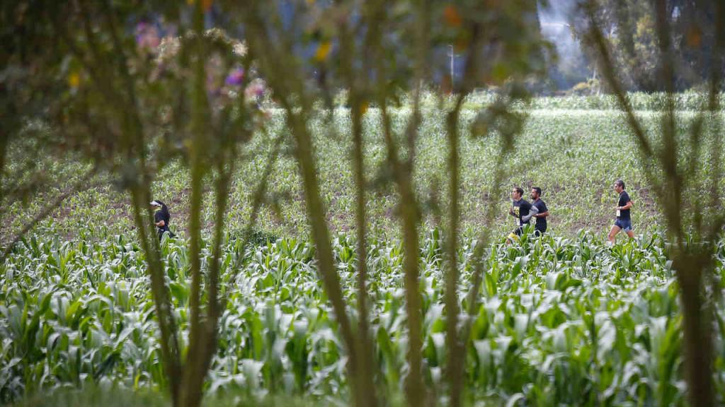 La Senek 2017 se corrió en la Hacienda El Noviciado, kilómetro 2.8, vía Cota-Chía