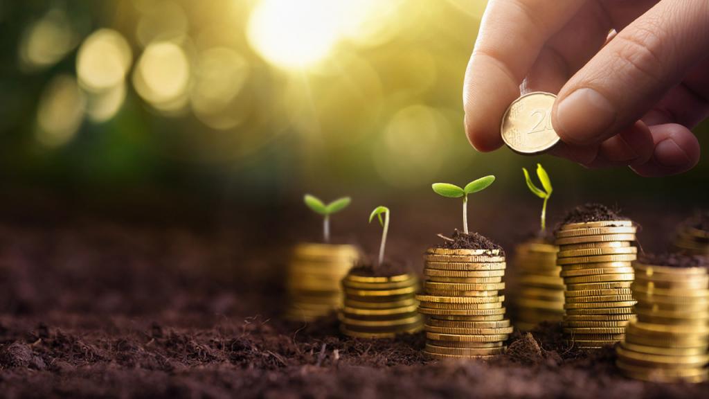 Foto montaje de monedas y plantas