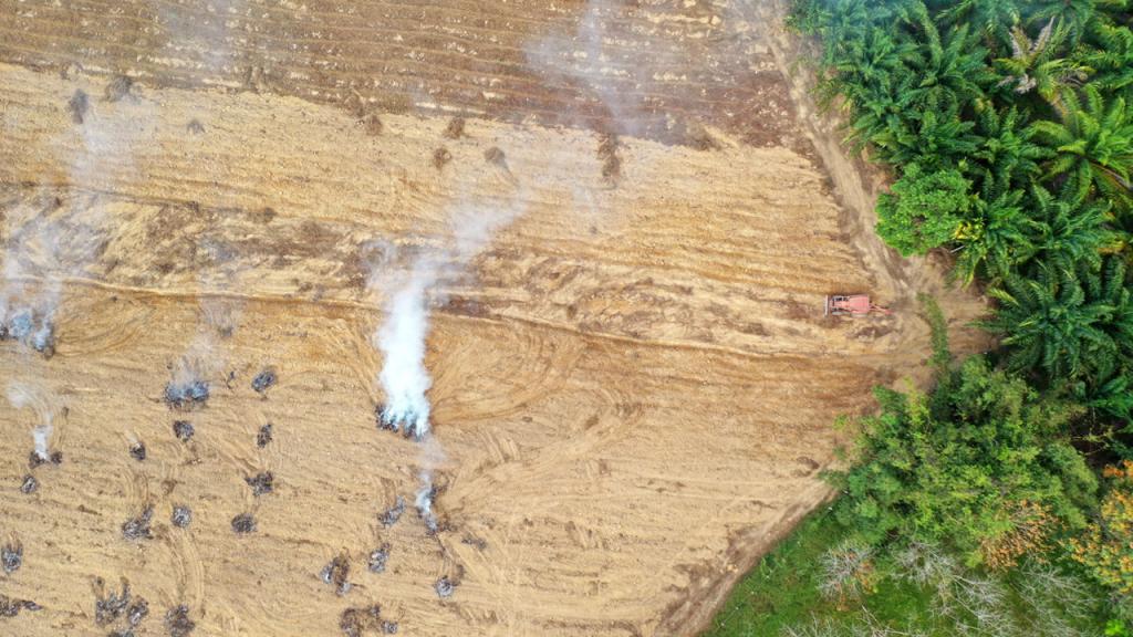 Toma aérea que muestra la deforestación de la Amazonía. 