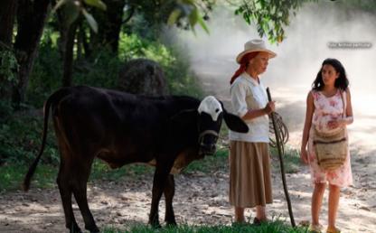 imagen de la pelicula dos mujeres y una vaca