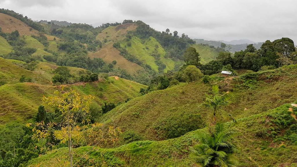 Foto de un paisaje en Colombia.