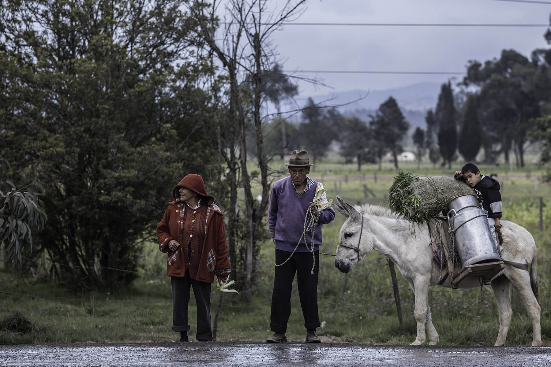 Encuesta Longitudinal Colombiana - ELCA