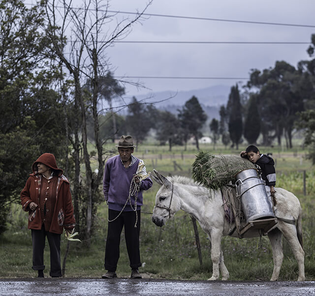 Encuesta Longitudinal Colombiana - ELCA