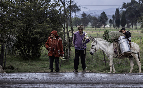 Encuesta Longitudinal Colombiana - ELCA