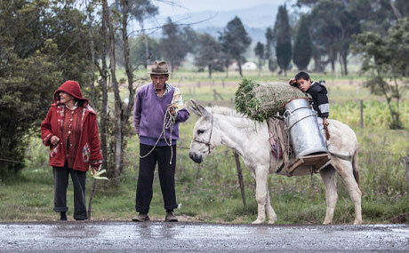 Dos campesinos junto a su mula que carga unas cantinas y un niño. 