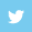 Logo Twitter