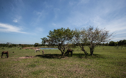 Imagen de una finca ganadera.