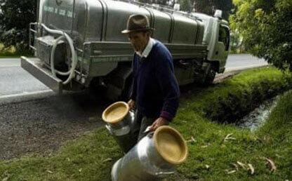 Hombre campesino cantinas leche