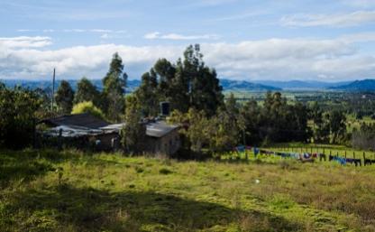 Campus, arquitectura, universidad