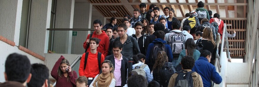 Programas y facultades
