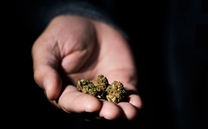 Mano con esferas de marihuana