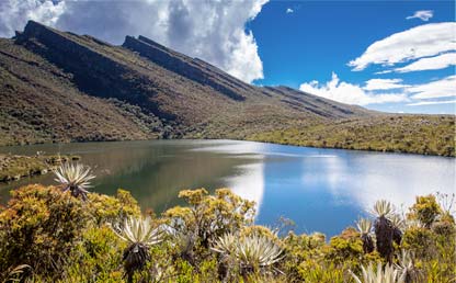 Páramo de Colombia