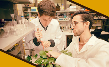 Investigadores de la Universidad de los Andes