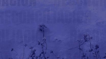 Imagen morada con plantas.