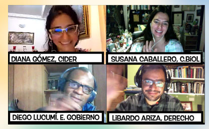 Imagen de cuatro personas en una videoconferencia.