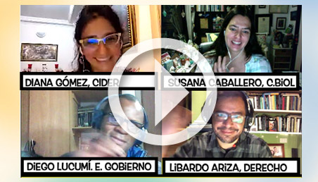 Imagen de cuatro personas en una videoconferencia.
