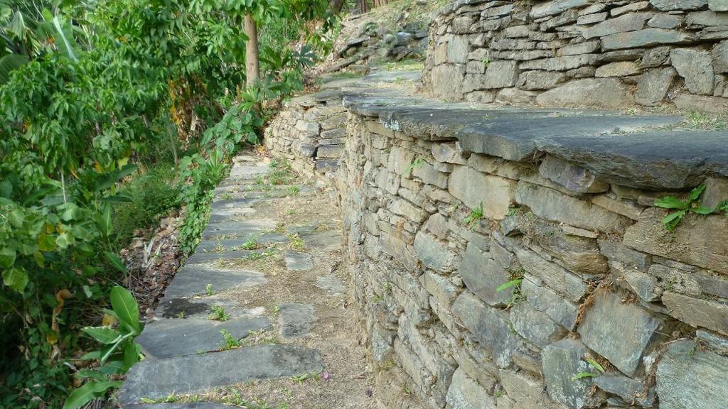 Imagen de sistema de muros de contención escalonados en el asentamiento prehispánico El Congo, Sierra Nevada de Santa Marta.