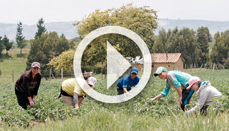 Mujeres en un cultivo de cebolla en la sabana bogotana. 