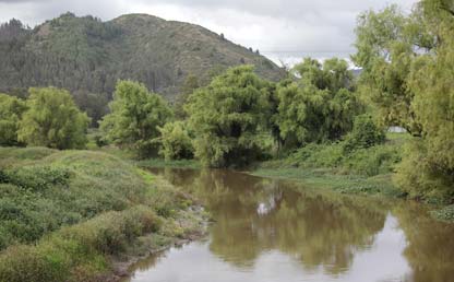 Fotografía del río Bogotá.